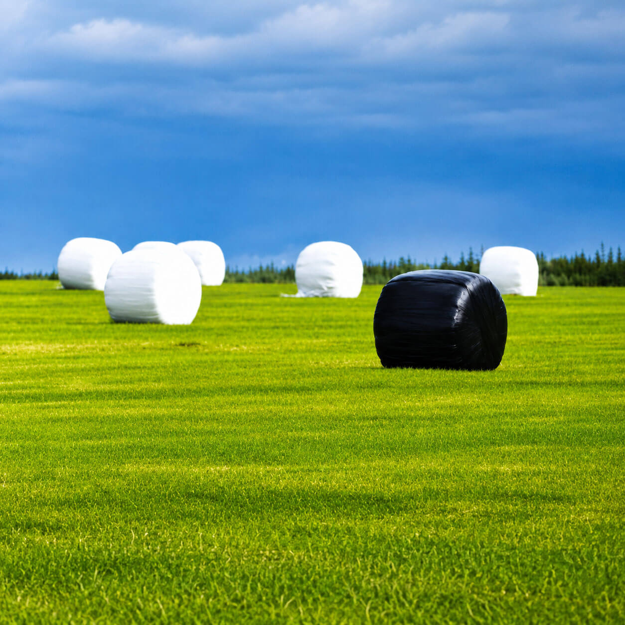 Silage Wrap product gallery image 2 thumbnail