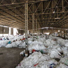 Segregating plastic scrap by material type
